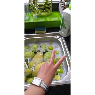 Nước rửa chén- Liquid Dish Washer - Thái Lan
