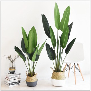 Giỏ cói cao cấp trồng cây (full size) Lan Decor