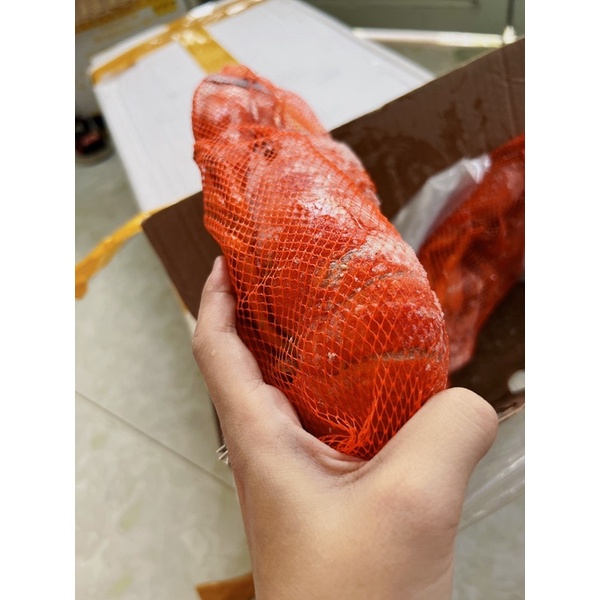 Tôm Hùm Alaska Cấp Đông