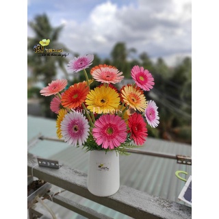Set nguyên liệu hoa đồng tiền - 🐌