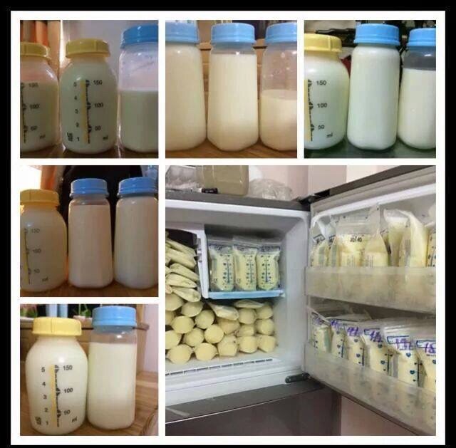 Combo bịch chè vằng túi lọc Lục Quân.