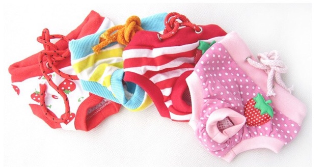 Quần chíp sịp dành cho  mùa rụng dâu