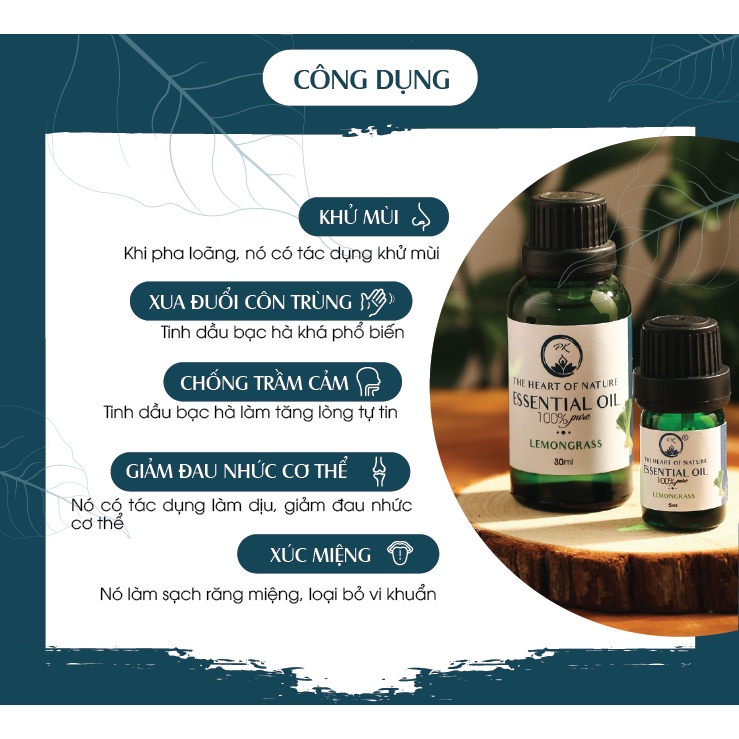 Combo 2 tinh dầu Bạc hà + Bưởi ngọt PK 10ml/chai