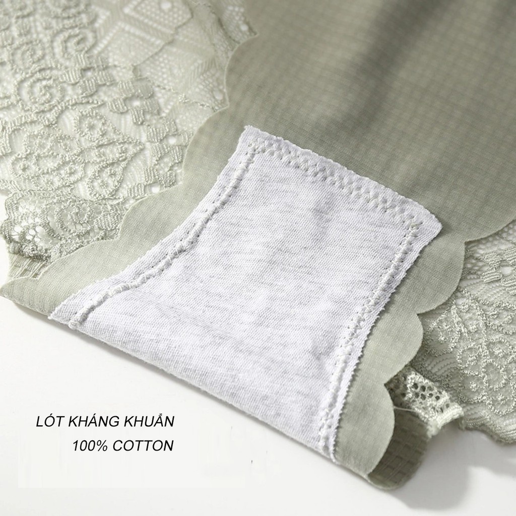 Quần lót su HAVANA gân caro pha ren - hàng cao cấp FLQ50