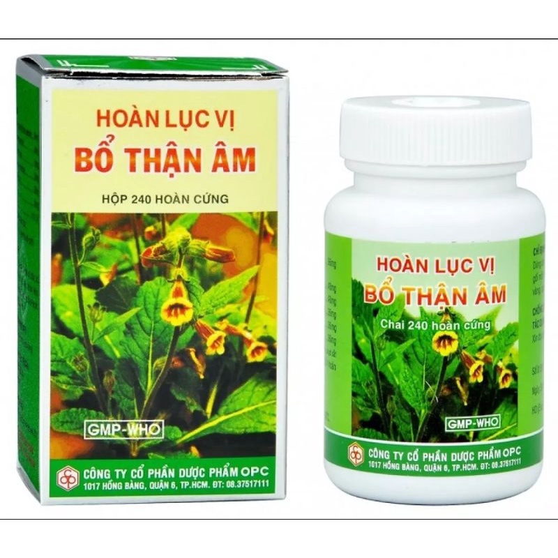 Hoàn lục vị-bổ thận âm, hộp 240 viên hoàn cứng