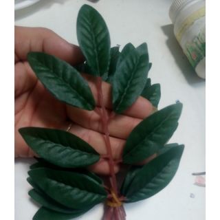 30 nhánh lá lợp lồng chim . loại tốt