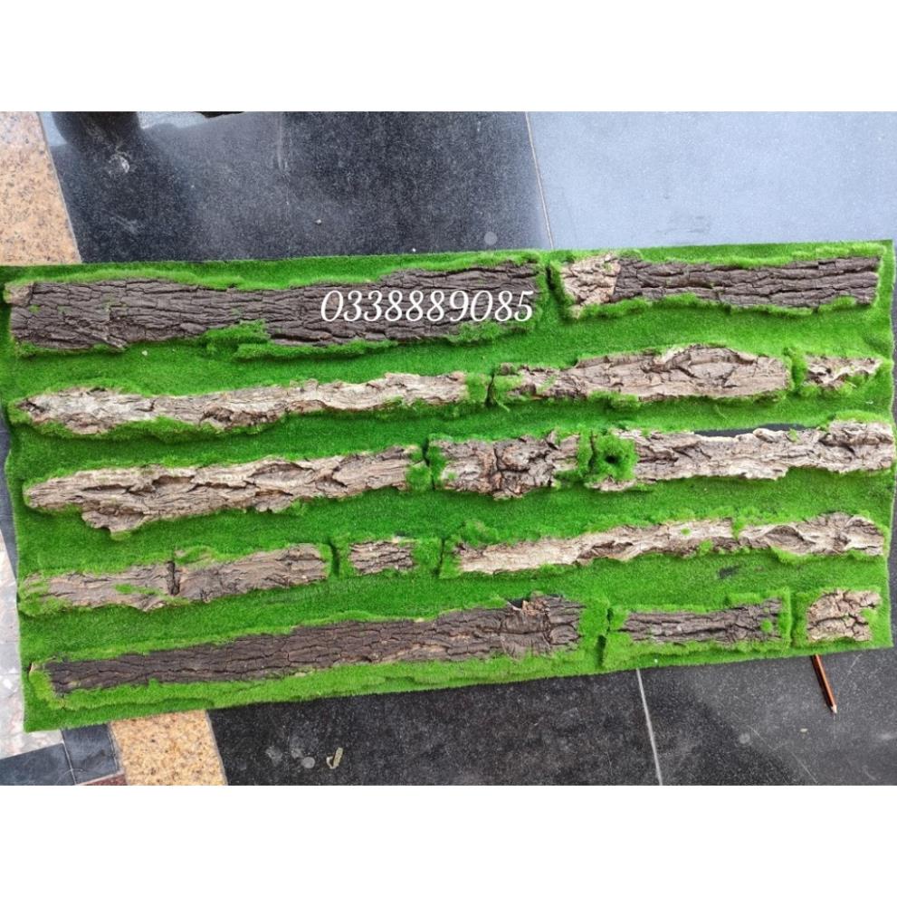Thảm Rêu Gỗ Trang Trí Tường kích thước 50x100cm