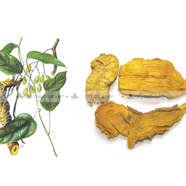 500g Hoàng Đằng