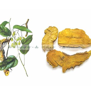 100g Hoàng Đằng (Khô,Vàng)