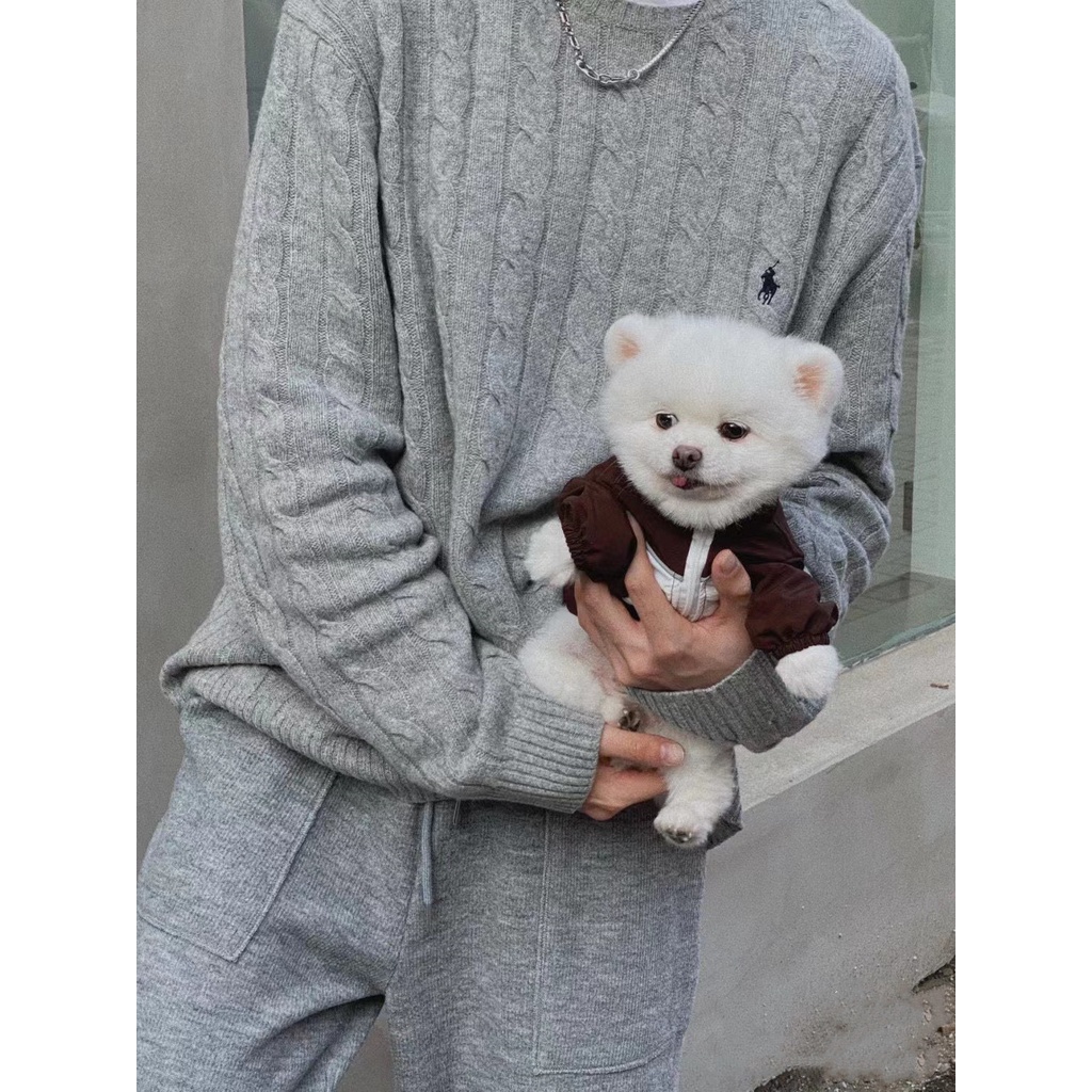 Ralph Lauren battle horse small horse label Solid color autumn and winter twist pullover long sleeve sweater retro American sweater women's 2022