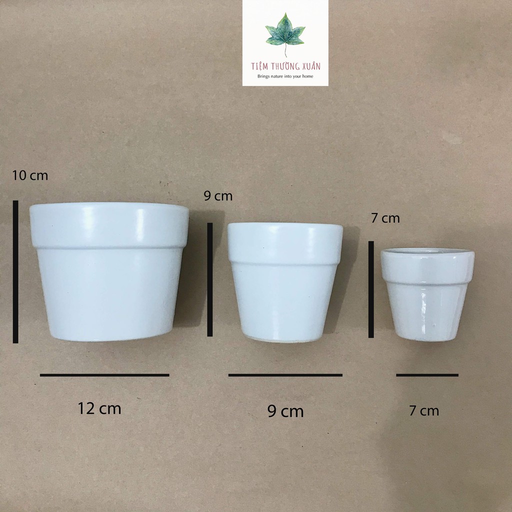 COMBO 3 CHẬU SỨ ĐỦ MÀU TRÁNG MEN - CHẬU ĐẠI - CHẬU TRUNG - CHẬU MINI