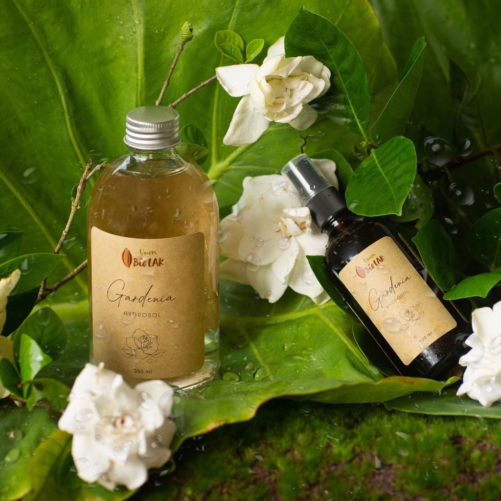 Hydrosol Gardenia – Nước cất sài đất nếp, bạch thiên hương | BigBuy360 - bigbuy360.vn