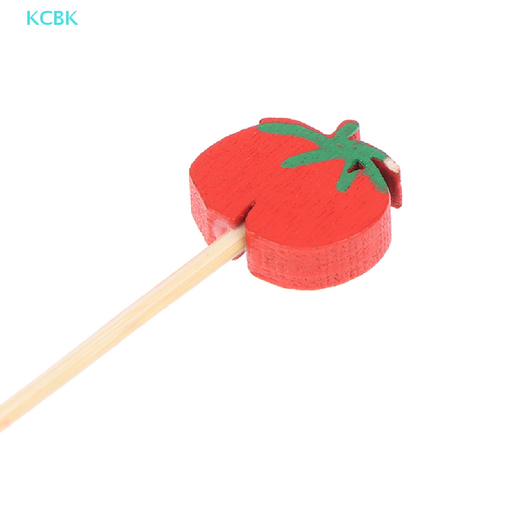 Set 100 Xiên Trái Cây / Salad / Cà Chua Đa Năng Tiện Dụng