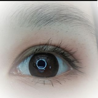 Kính áp tròng 3DA Choco- 0 đến 8 độ- 14.0mm