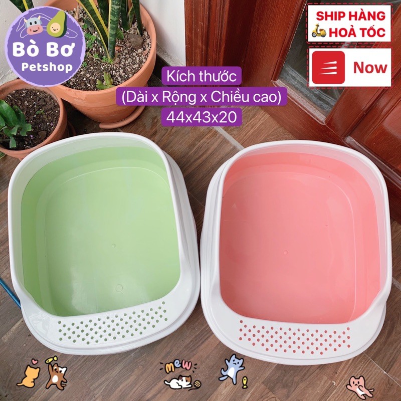 Chậu cát đi vệ sinh cho mèo size to 40x45 [ TẶNG KÈM XẺNG ]