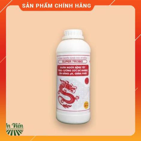 [CHĂM CÁ CHUYÊN NGHIỆP] VI SINH RỒNG ĐỎ CHUYÊN PHÒNG BỆNH, TĂNG SỨC ĐỀ KHÁNG VÀ THÚC TĂNG TRƯỞNG