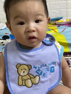 Yếm vải catter hàng cực đẹp cho bé