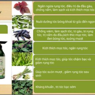 Dầu gội trị gàu,  rụng tóc