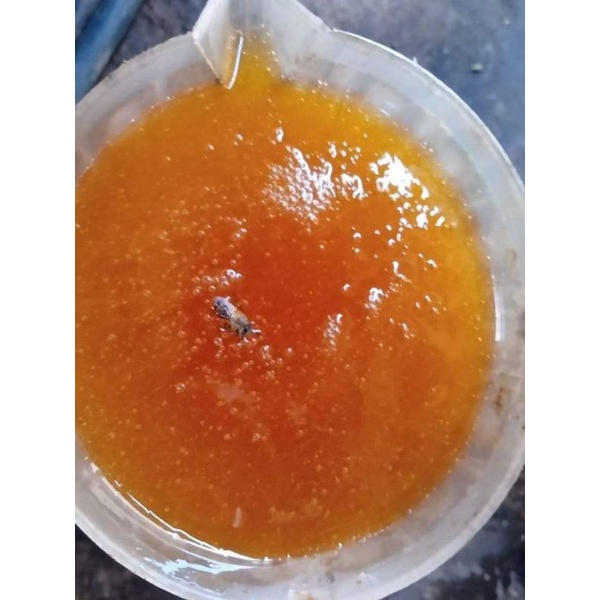 1lit mật ong hoa cà phê /mật ong nguyên chất