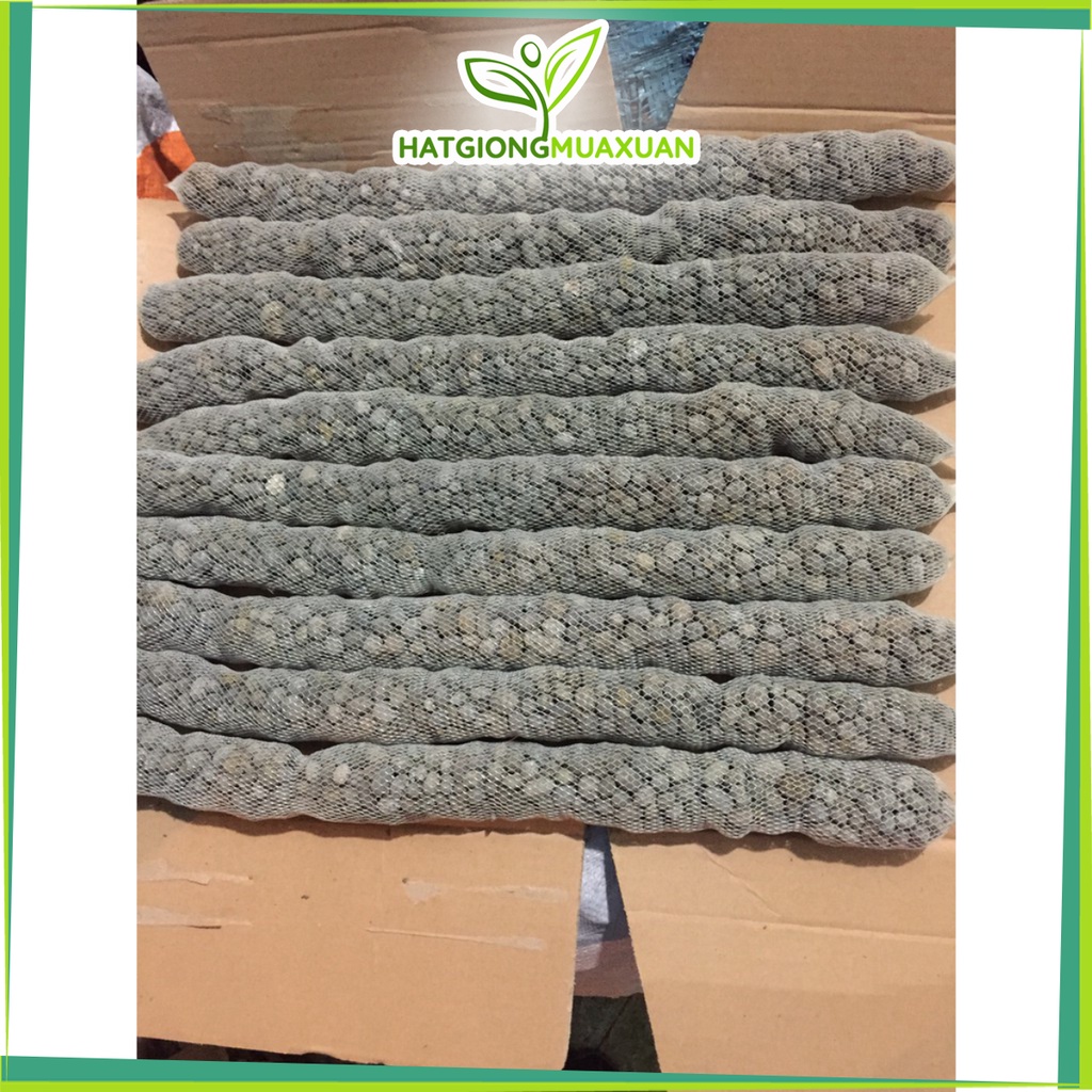 [SIEURE] combo10 túi phân dê ủ nấm trichoderma dài 50cm hàng đẹp, phân phối chuyên nghiệp.