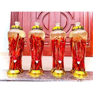 Sâm Cau Đỏ- 1 set/ 2kg- thaoduocsachdaklak