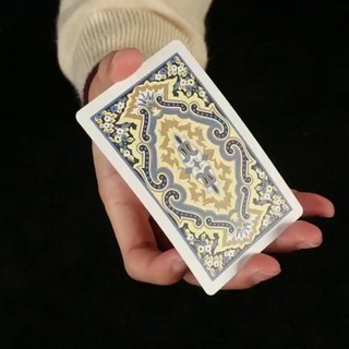 Combo 2 bộ bài poker nylon hoa văn Singapore