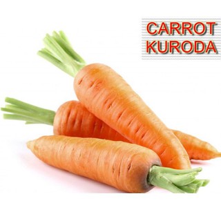 2gr hạt giống cà rốt kuroda