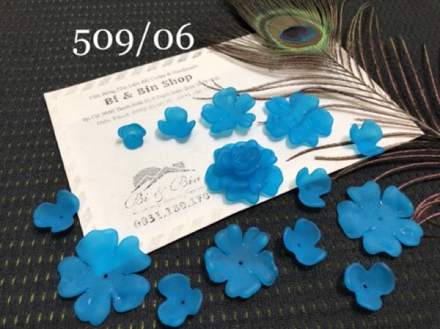 4 Hoa Anh Đào 4 Lớp - HPK509