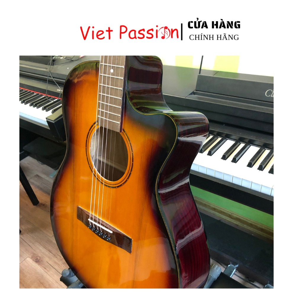 Đàn guitar acoustic SVA+ mặt gỗ Thông có ty chỉnh cong cần giá sinh viên chất lượng cao âm thanh tuyệt vời VietPassion