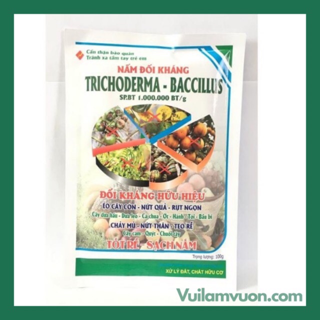 Trichoderma baccillus- nấm đối kháng ủ phân vi sinh- rác hữu cơ