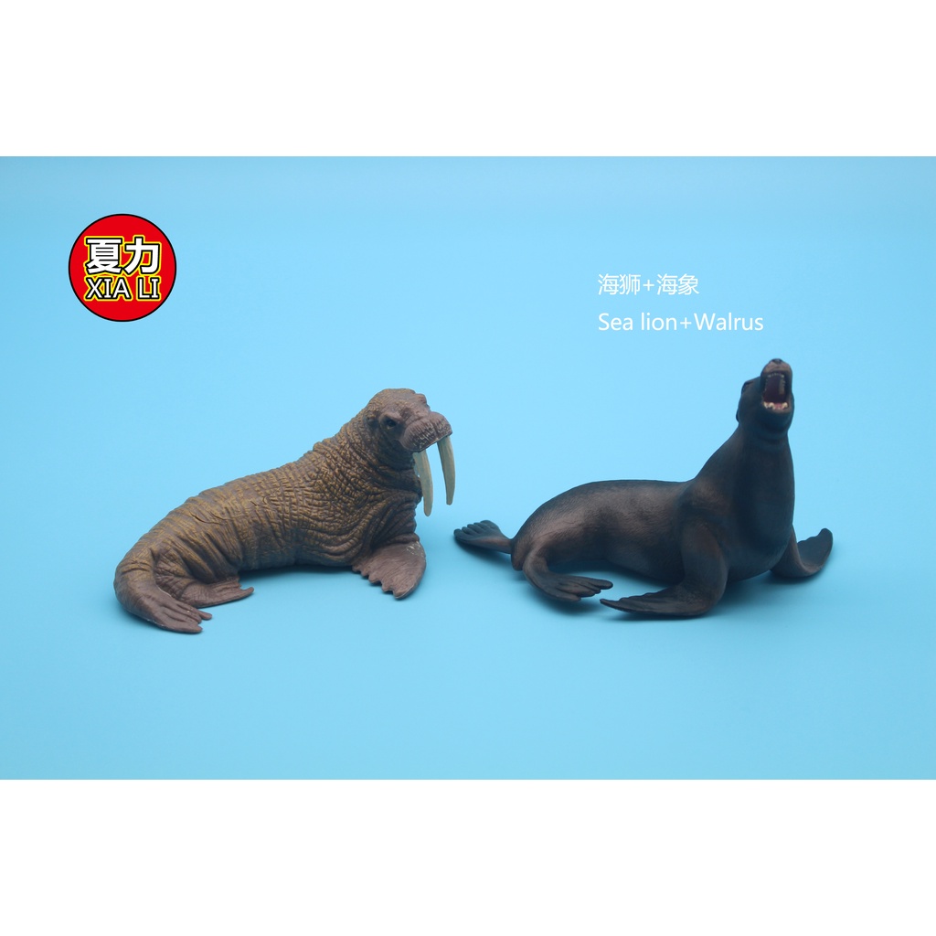 Mô hình động vật biển đồ chơi cho bé