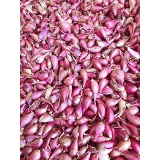 1kg hành tím Lý Sơn