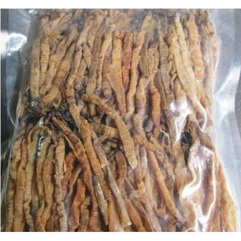 Sá sùng khô, hàng mới, không chất bảo quản - 100g