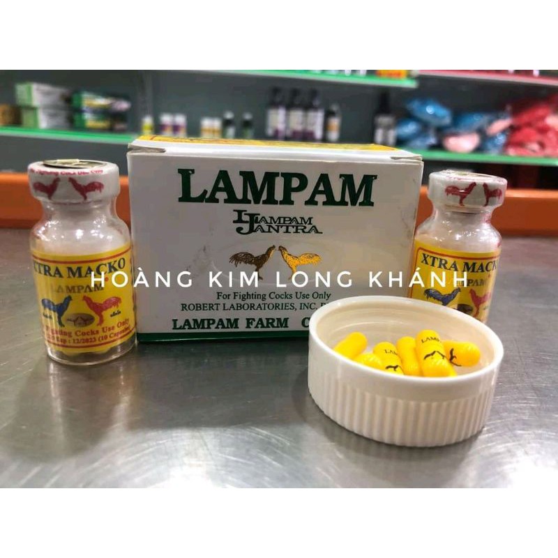 Xtra Macko - Nhộng vàng tăng bo , nhanh nhẹn , bền sức lọ 10 viên