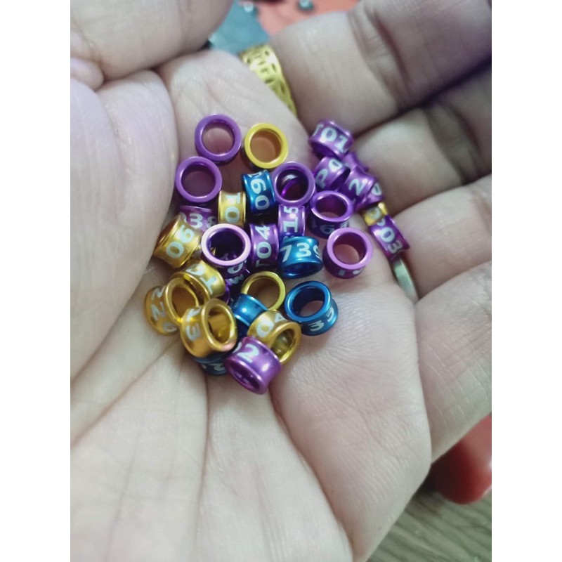 Vòng /nhẫn đeo chân chim choè lửa , than  .