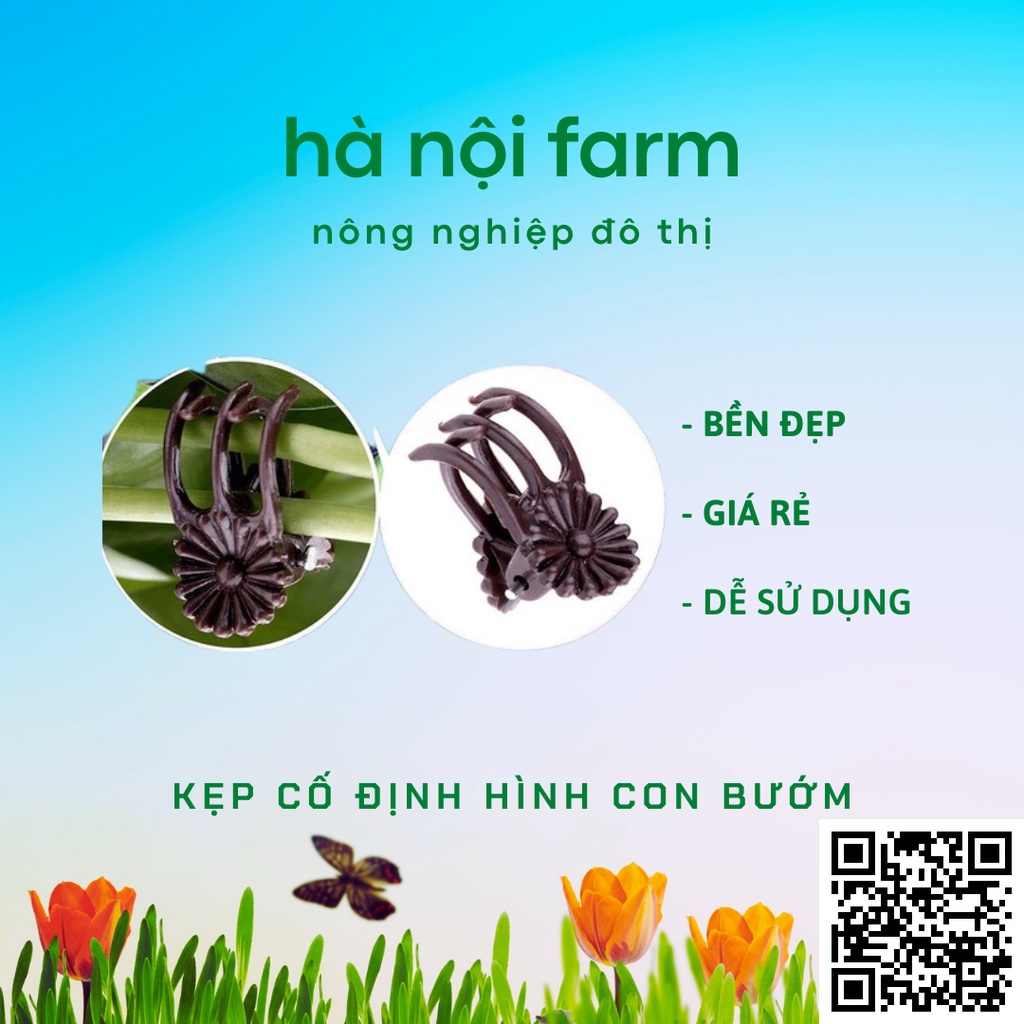 100 kẹp bướm cố định cho lan