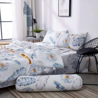 Set Đũi chăn hè chần