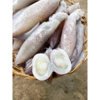 MỰC TRỨNG 750gr (hoả tốc HCM)