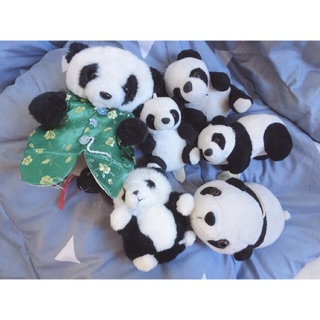 SET GẤU TRÚC PANDA NHỒI BÔNG