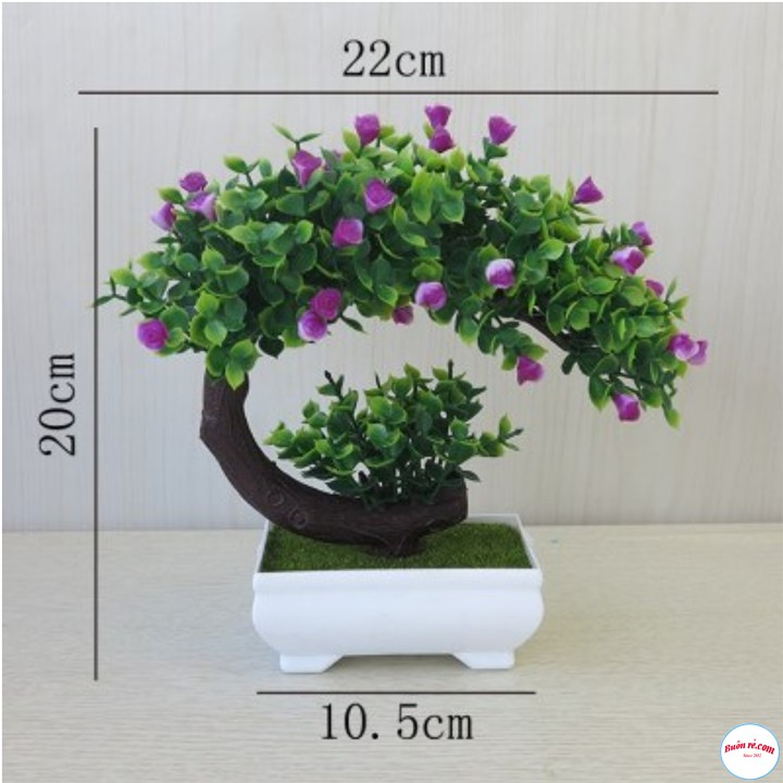 Chậu cây bonsai nhựa phú quý cát tường tặng kèm dây đèn led dùng pin siêu sáng