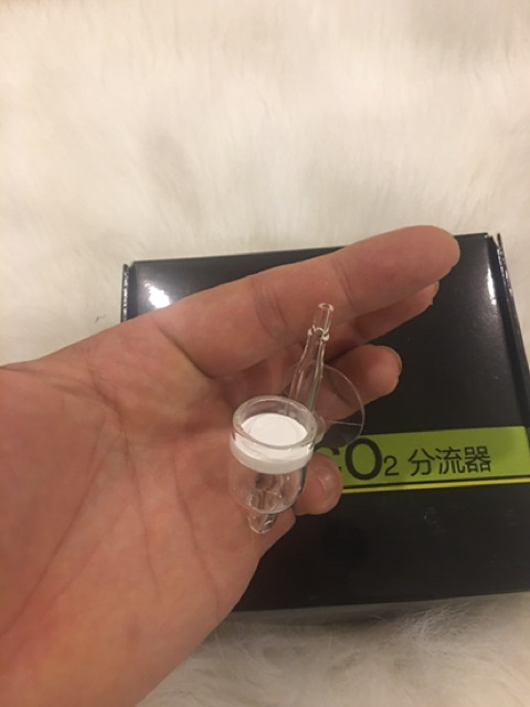Sủi co2 thuỷ tinh siêu mịn