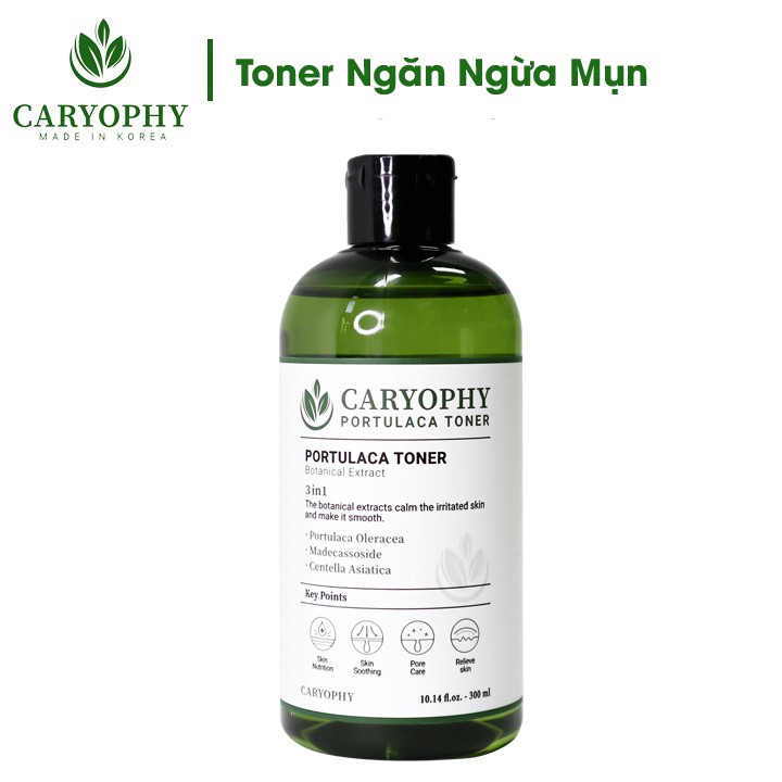 Toner cho da dầu mụn da dầu nhạy cảm ngăn ngừa mụn thâm dành cho da hỗn hợp Caryophy hàn quốc | BigBuy360 - bigbuy360.vn