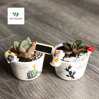 Chậu sứ trồng cây cốc nhỏ in hình