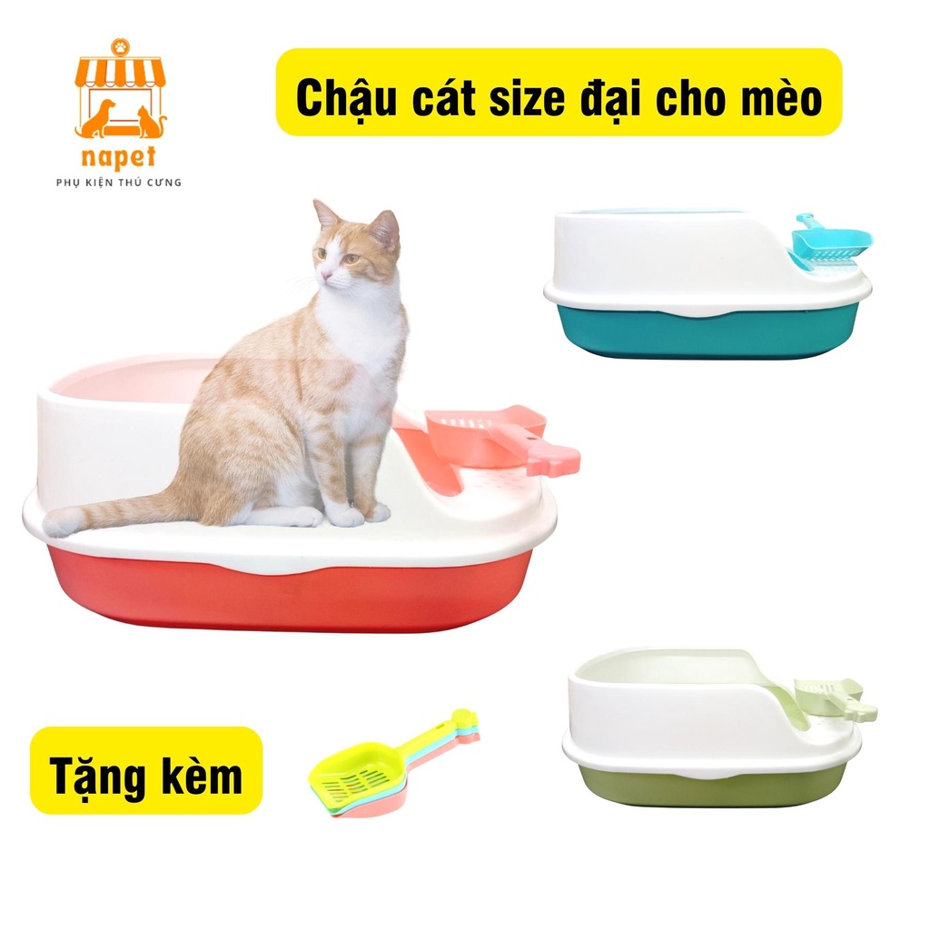 Chậu cát vệ sinh cho Mèo chống bắn Size lớn - Nhà vệ sinh cho mèo cổ cao tặng kèm xẻng