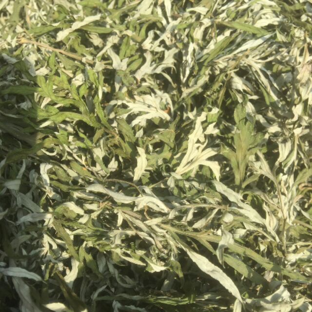 Lá ngải cứu khô 500g