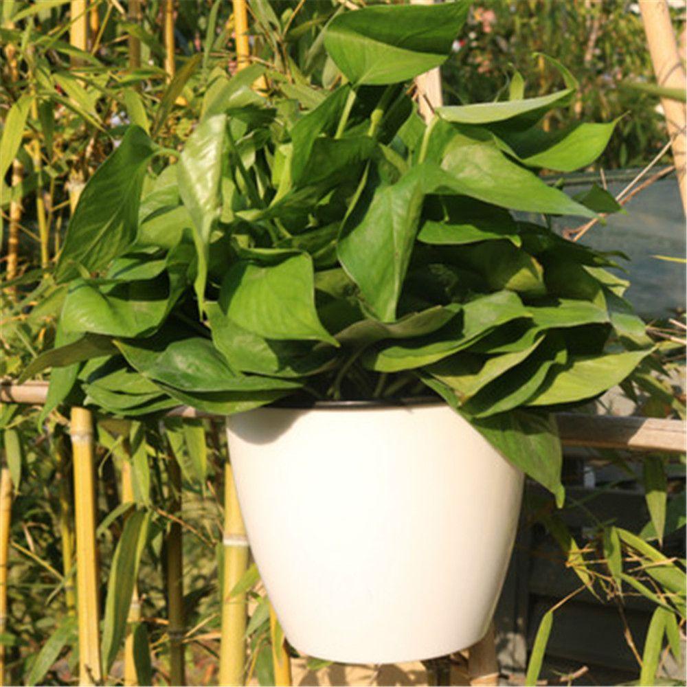 Bộ 3 Chậu Hoa Tự Tưới Nước Sáng Tạo