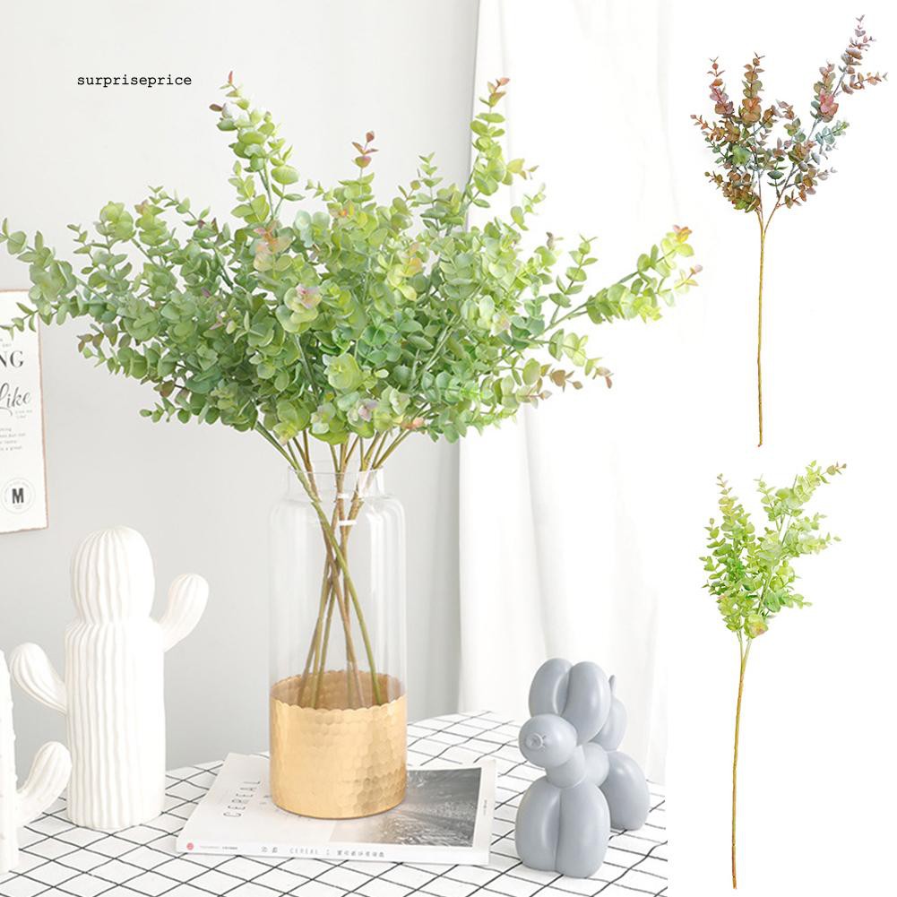 Nhánh lá bạch đàn giả đa năng chất lượng cao