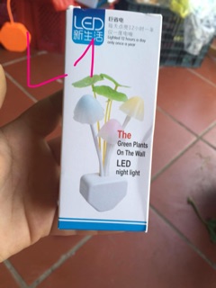 Đèn ngủ cây nấm đổi màu