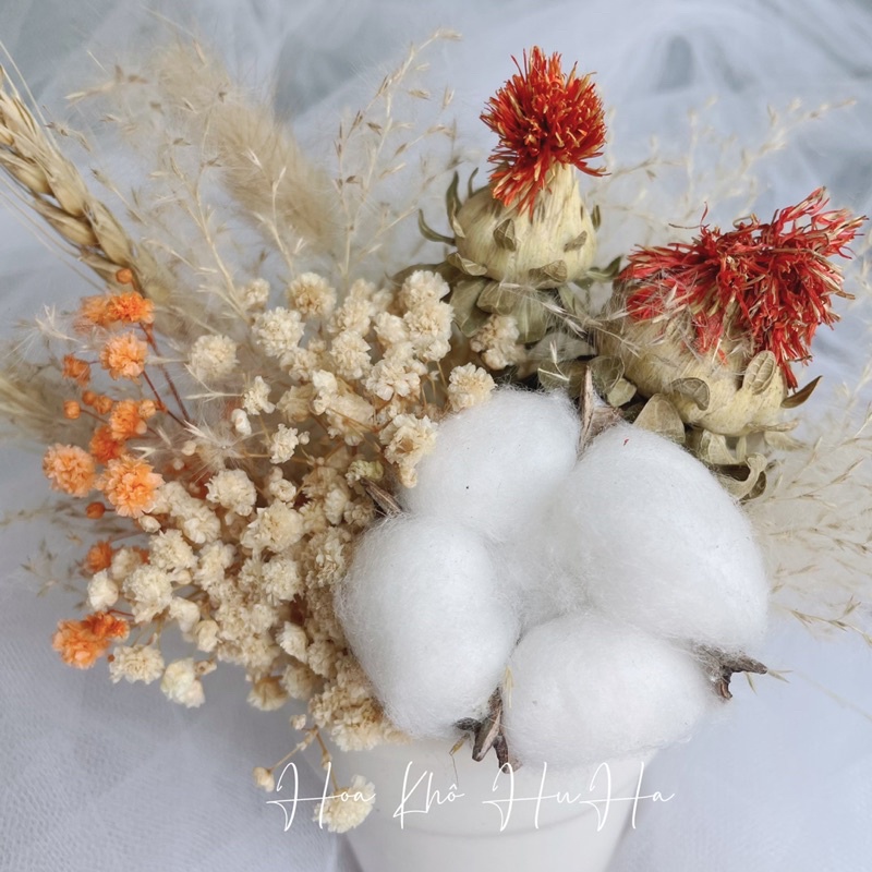 Chậu Hoa Khô Mix Nhiều Loại ( Bông gòn, Baby, tóc tiênn)