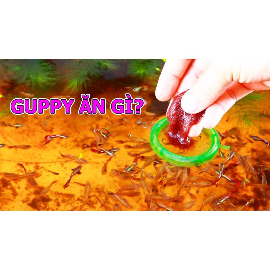 3 Rổ đựng trùn chỉ - Phễu Loại tốt, đáy dẹp ✅ BETTA COFFY ☕️